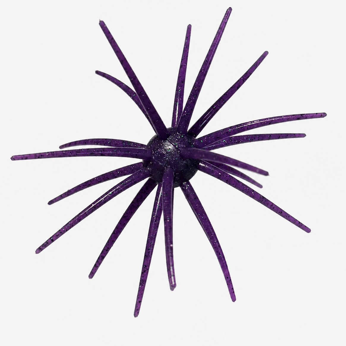 Hag’s Prickly Pear Big Bend Brusier