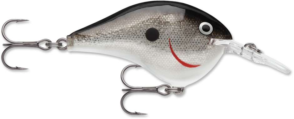 Rapala DT-6 Silver