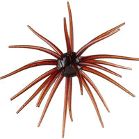 Hag’s Prickly Pear Red Dirt Renegade (Red Bug)