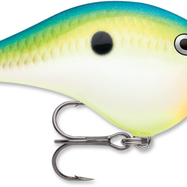 Rapala DT-6 Citrus Shad