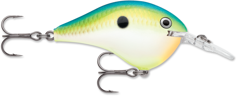 Rapala DT-6 Citrus Shad