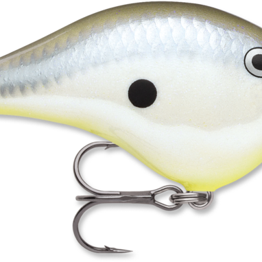 Rapala DT-8 Disco Shad