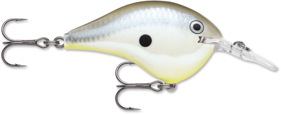 Rapala DT-8 Disco Shad