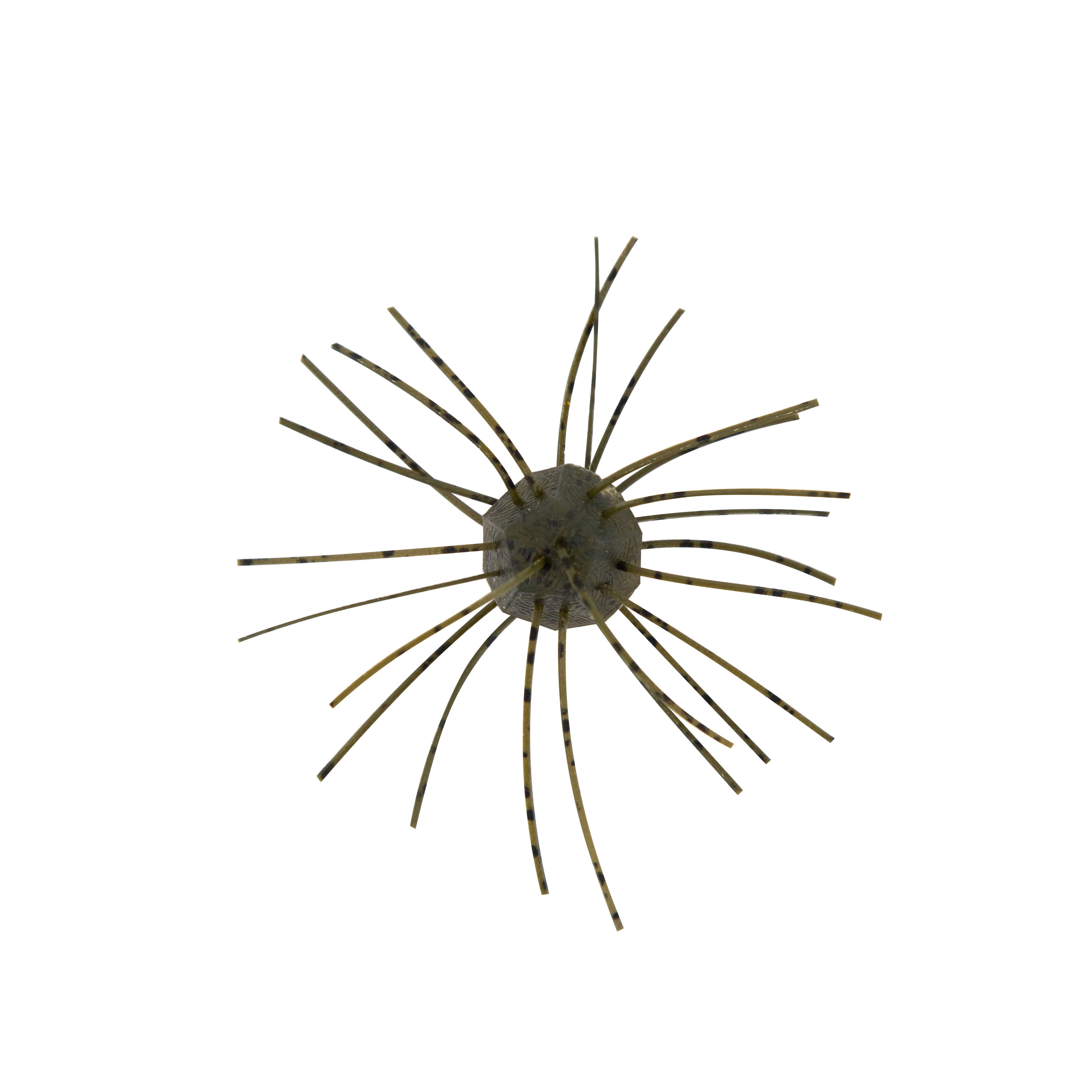 Z-Man Fuzzy Nuggetz 4pk Green Pumpkin