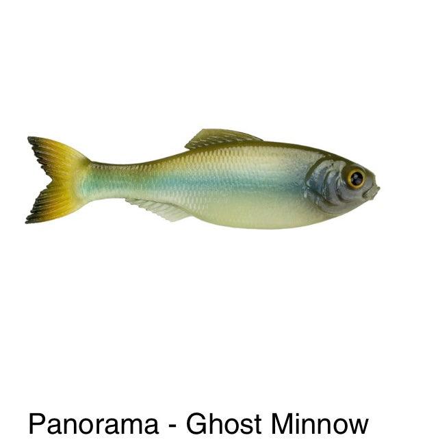 6th Sense Panorama Ghost Minnow pk)