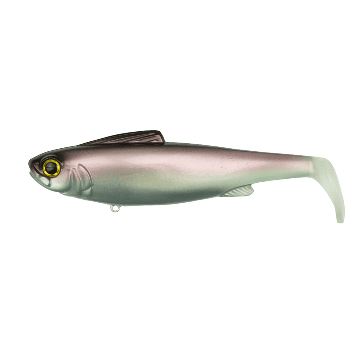 6th Sense Hangover Shad Dawn