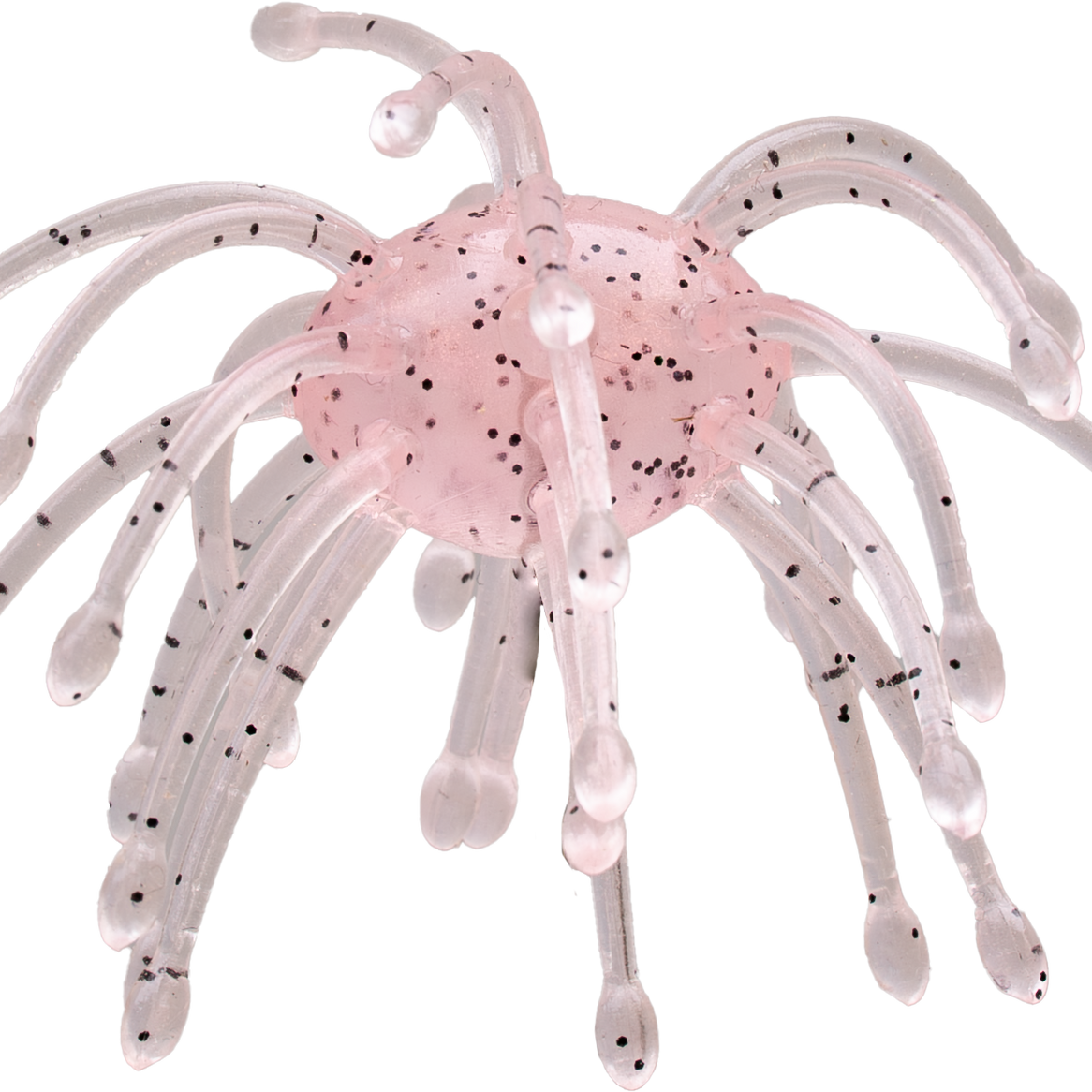 G-Ratt Baits Webber 2pk Princess