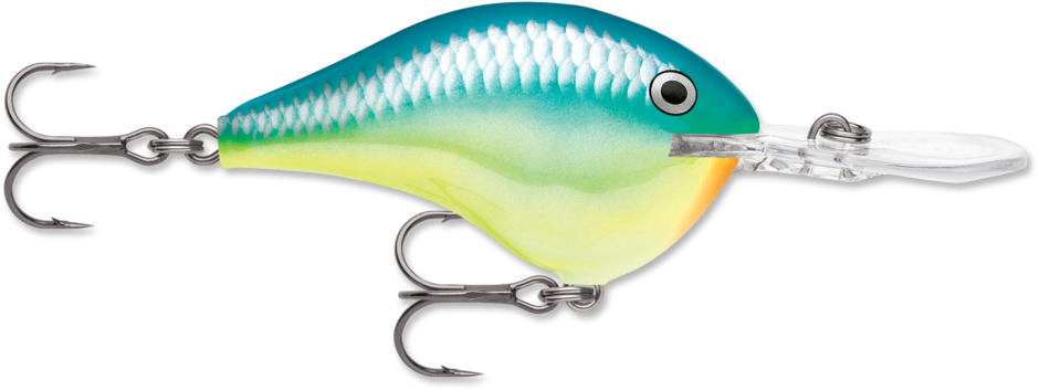 Rapala DT-16 Caribbean Shad