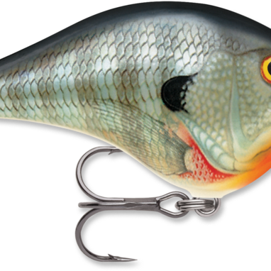 Rapala DT-6 Bluegill