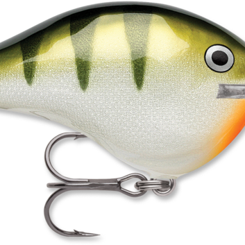 Rapala DT-14 Yellow Perch (D)