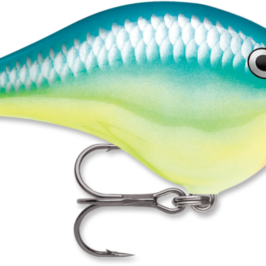 Rapala DT-6 Caribbean Shad
