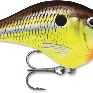 Rapala DT-6 Hot Mustard