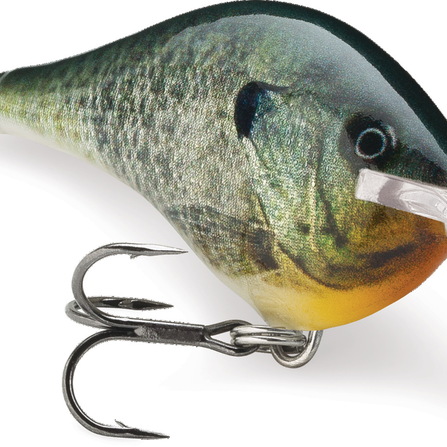 Rapala DT-6 Live Bluegill