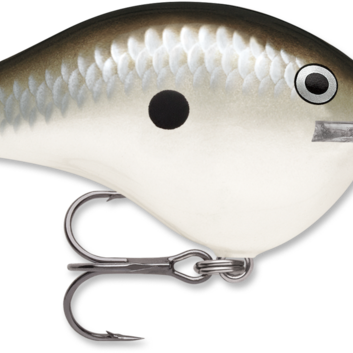 Rapala DT-14 Pearl Grey Shiner (D)