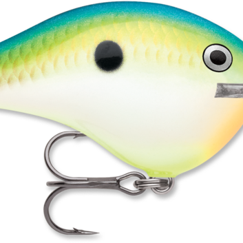 Rapala DT-14 Citrus Shad