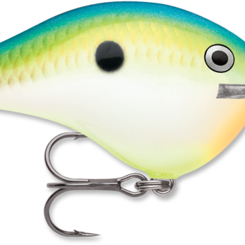 Rapala DT-10 Citrus Shad