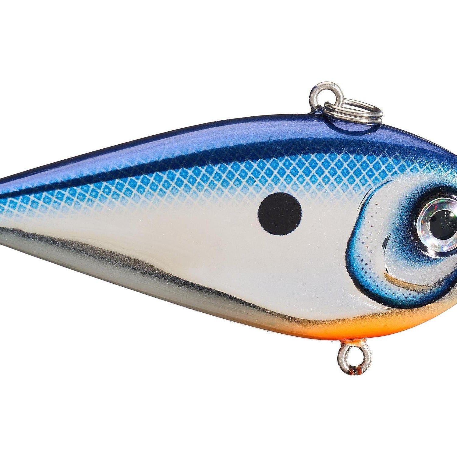 Rapala Snare 50 Lipless Crankbait Pro Chrome Blue