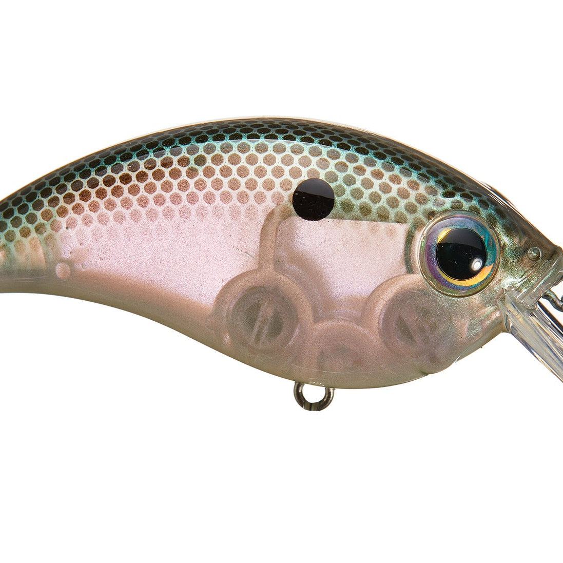 Bill Lewis ATV 2.5 Sqaurebill Crankbait Green Gizzard