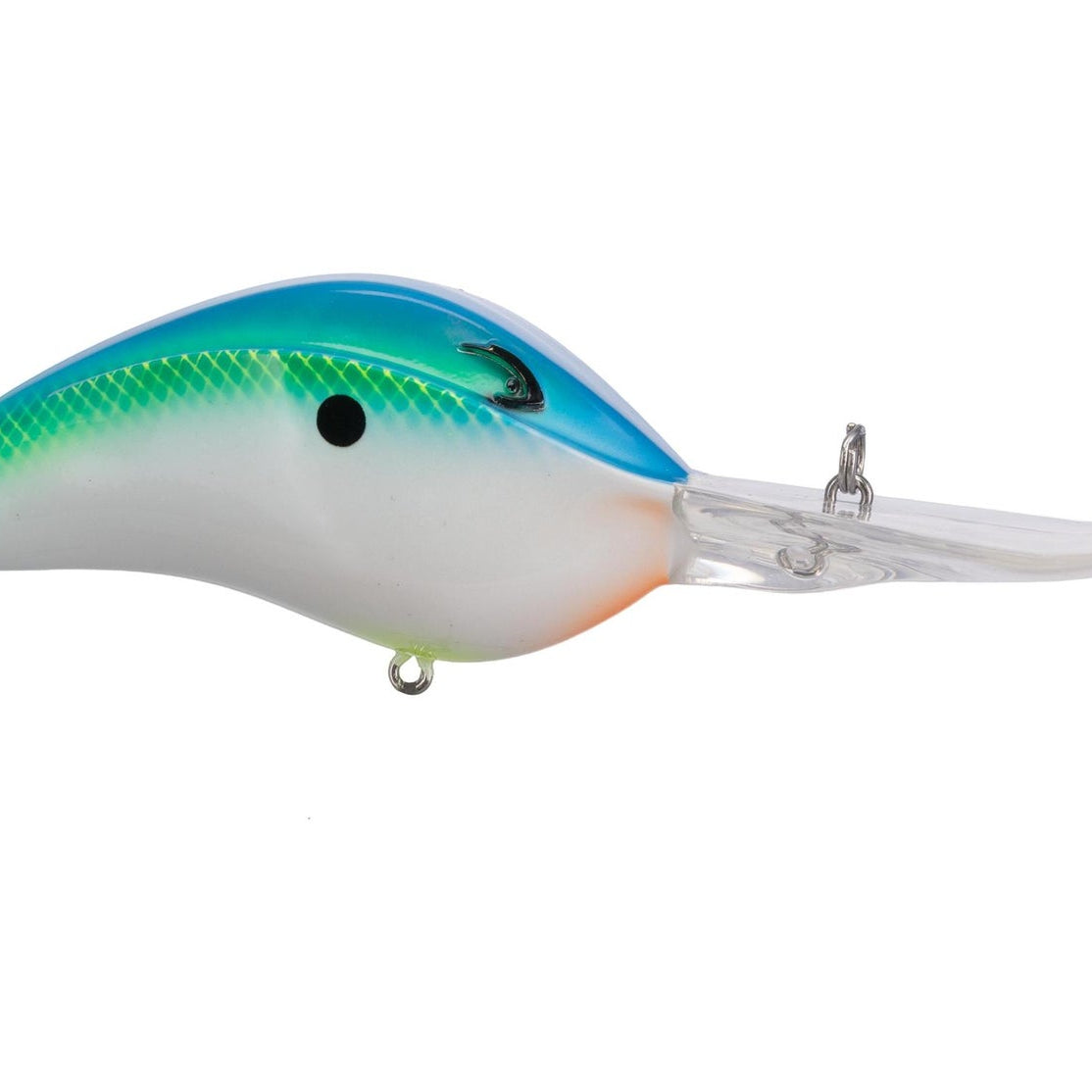 Bill Lewis DR24 Crankbait Citrus Shad