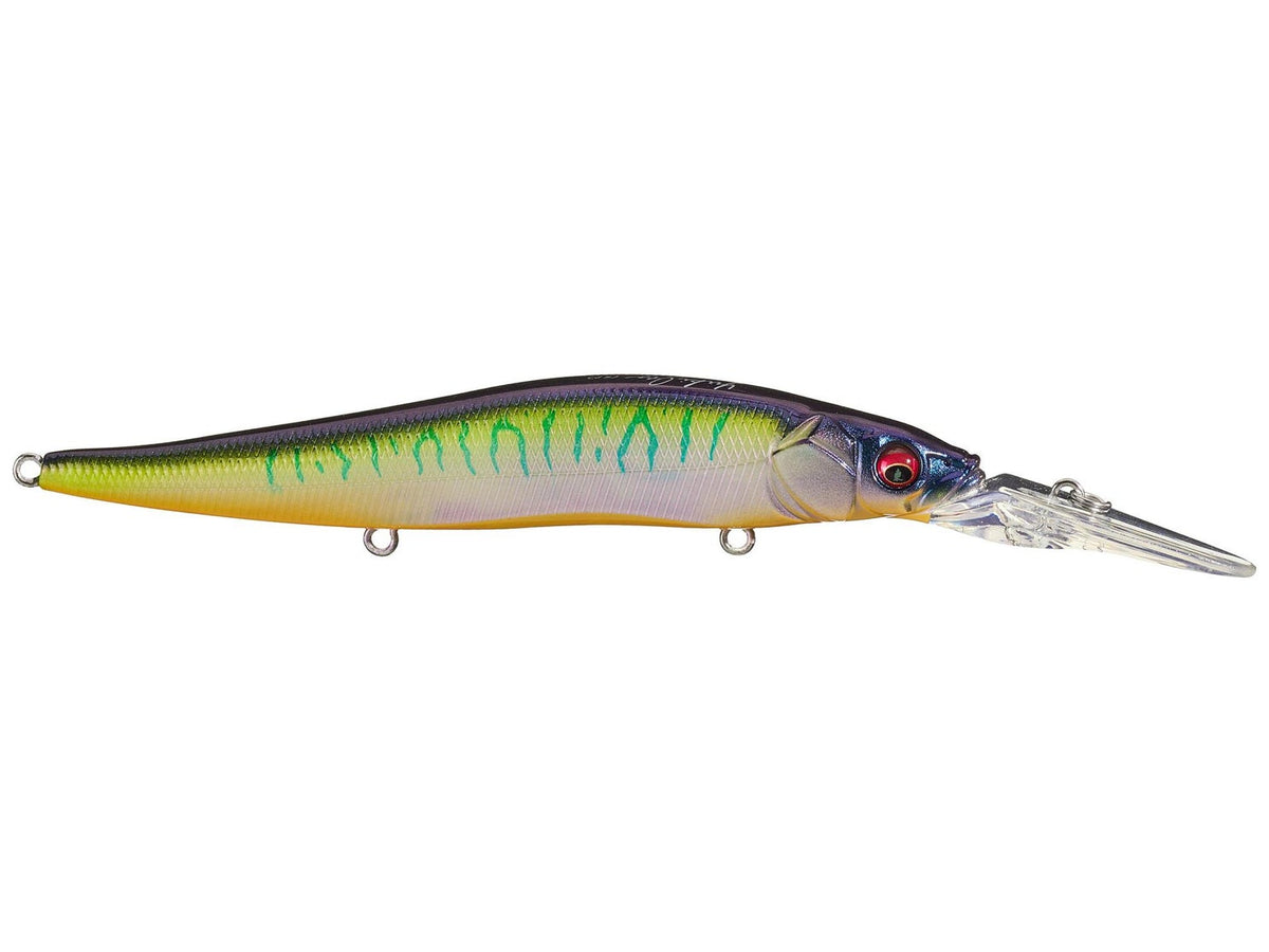 Megabass Vision 110 + 2 SG Kasumi Reaction