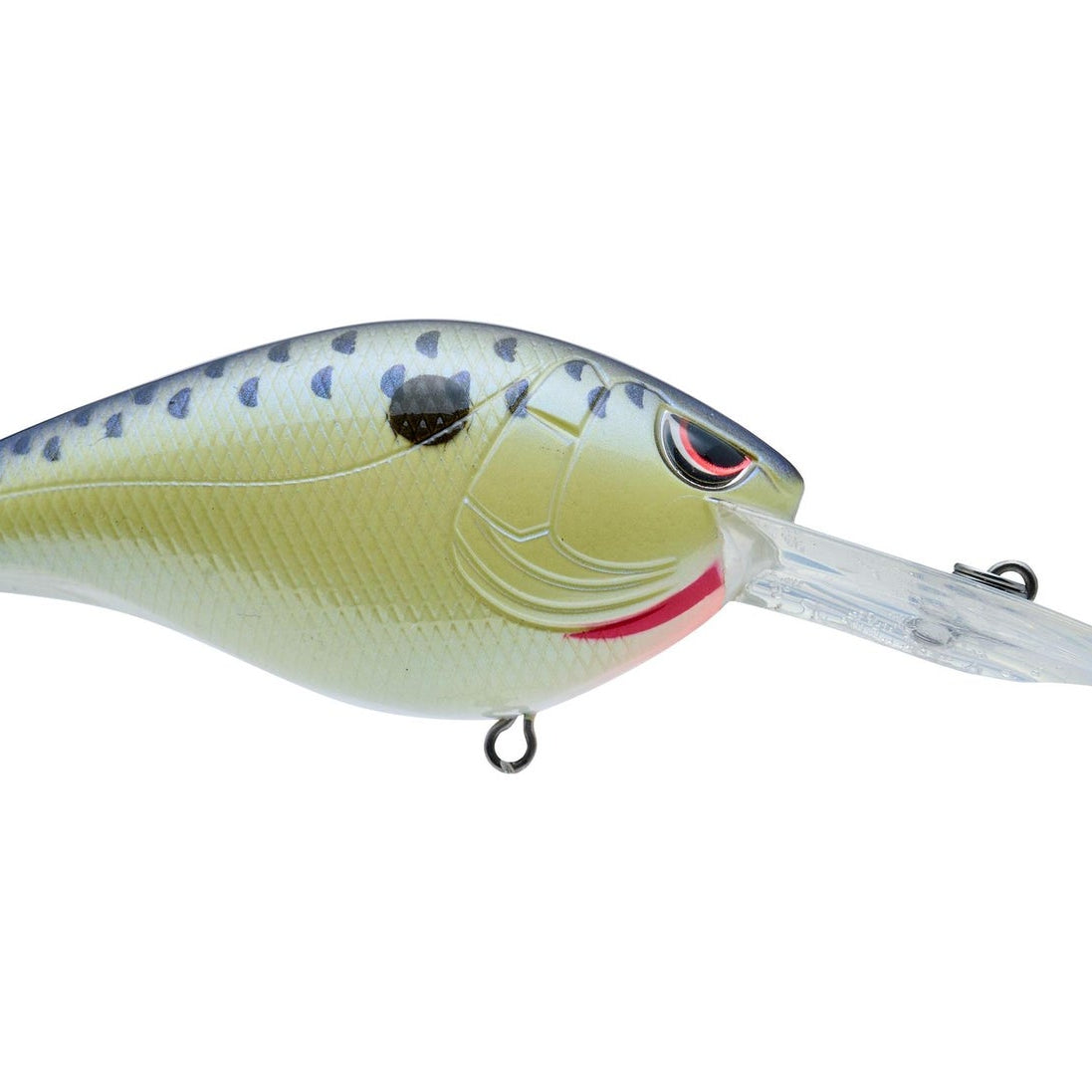 SPRO Hunter 65 MD Crankbait Cell Mate