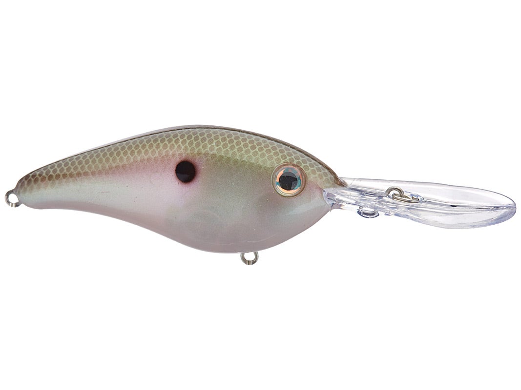 Strike King Pro Model 6XD Green Gizzard Shad