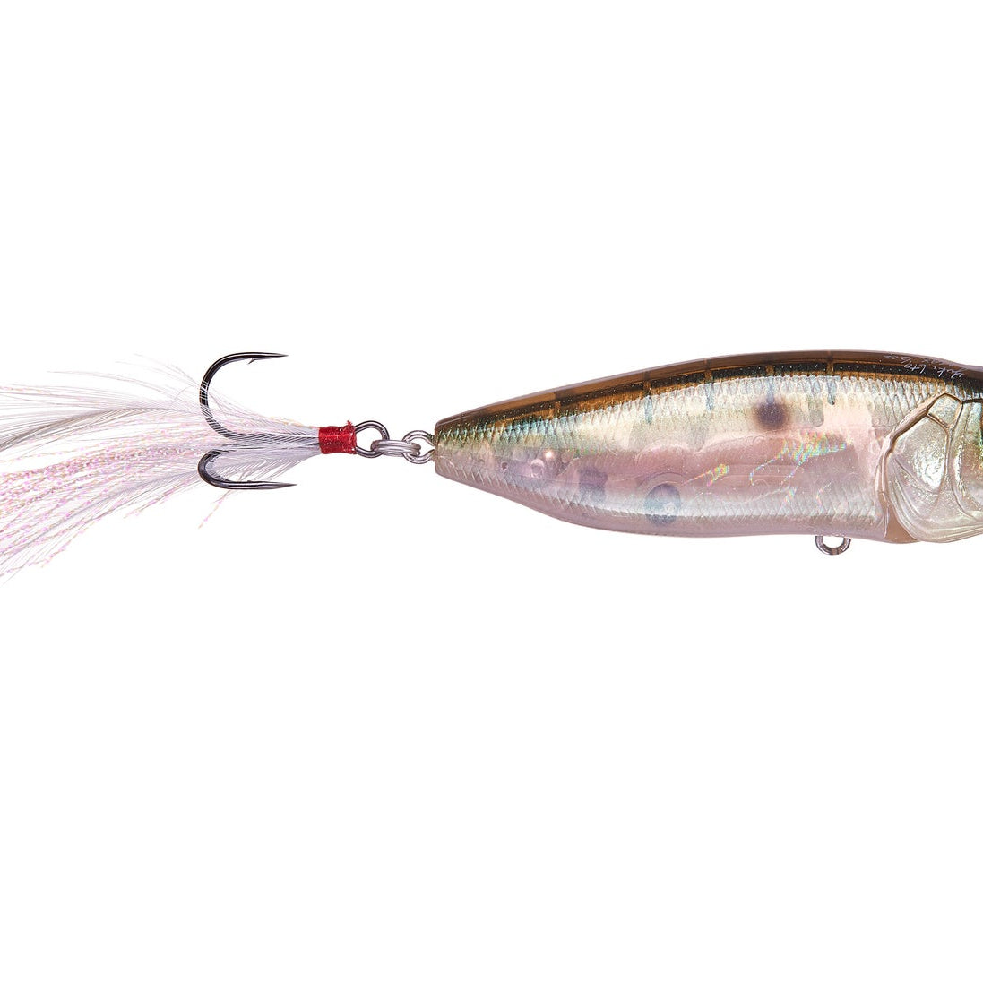 Megabass Pop Max MB Gizzard