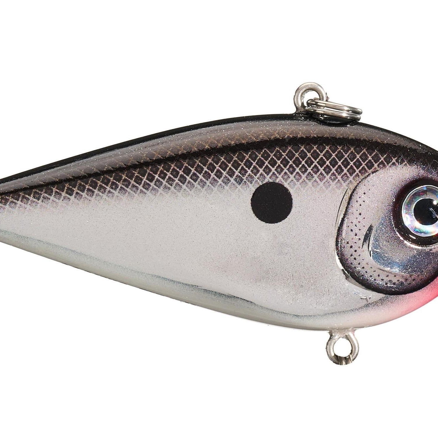Rapala Snare 50 Lipless Crankbait Metallic Silver