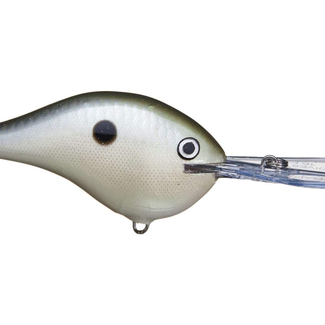 Rapala DT-16 Green Gizzard Shad