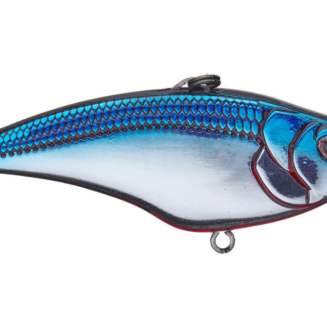 Nomad Design Swimtrex Max Lipless Crankbait Blue Back Chrome