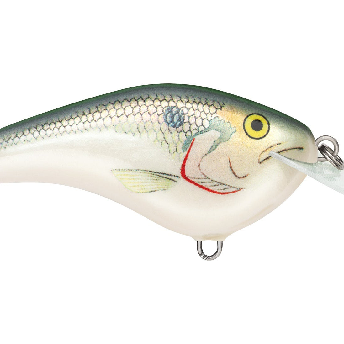 Rapala Ott’s Garage Slim 06 Crankbait Shad