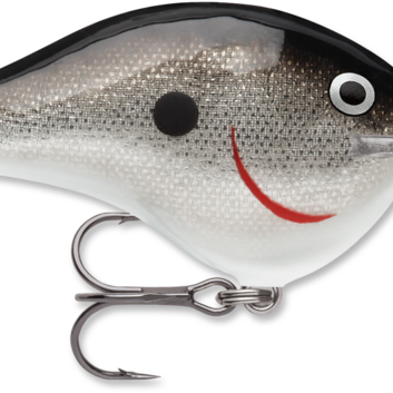 Rapala DT-10 Silver