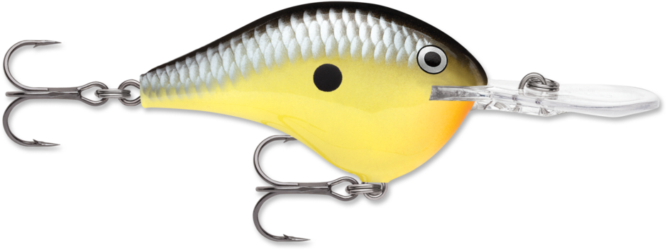Rapala DT-10 Old School