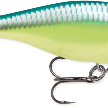 Rapala Shallow Shad Rap 05 Caribbean Shad