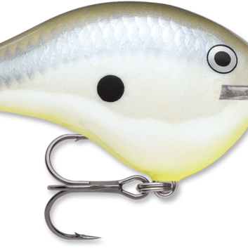 Rapala DT-14 Disco Shad (D)