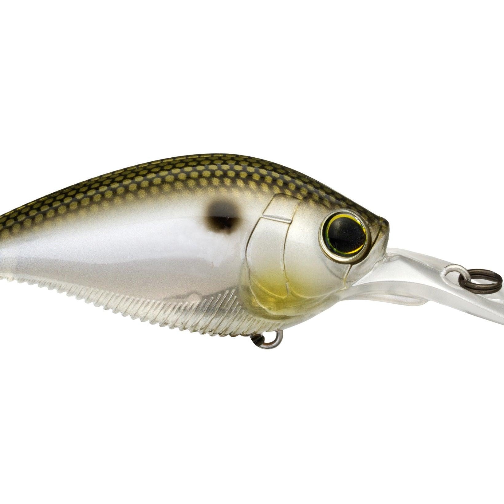 Yo-Zuri 3DB Series 1.5 Mid Range Crankbait Gizzard Shad