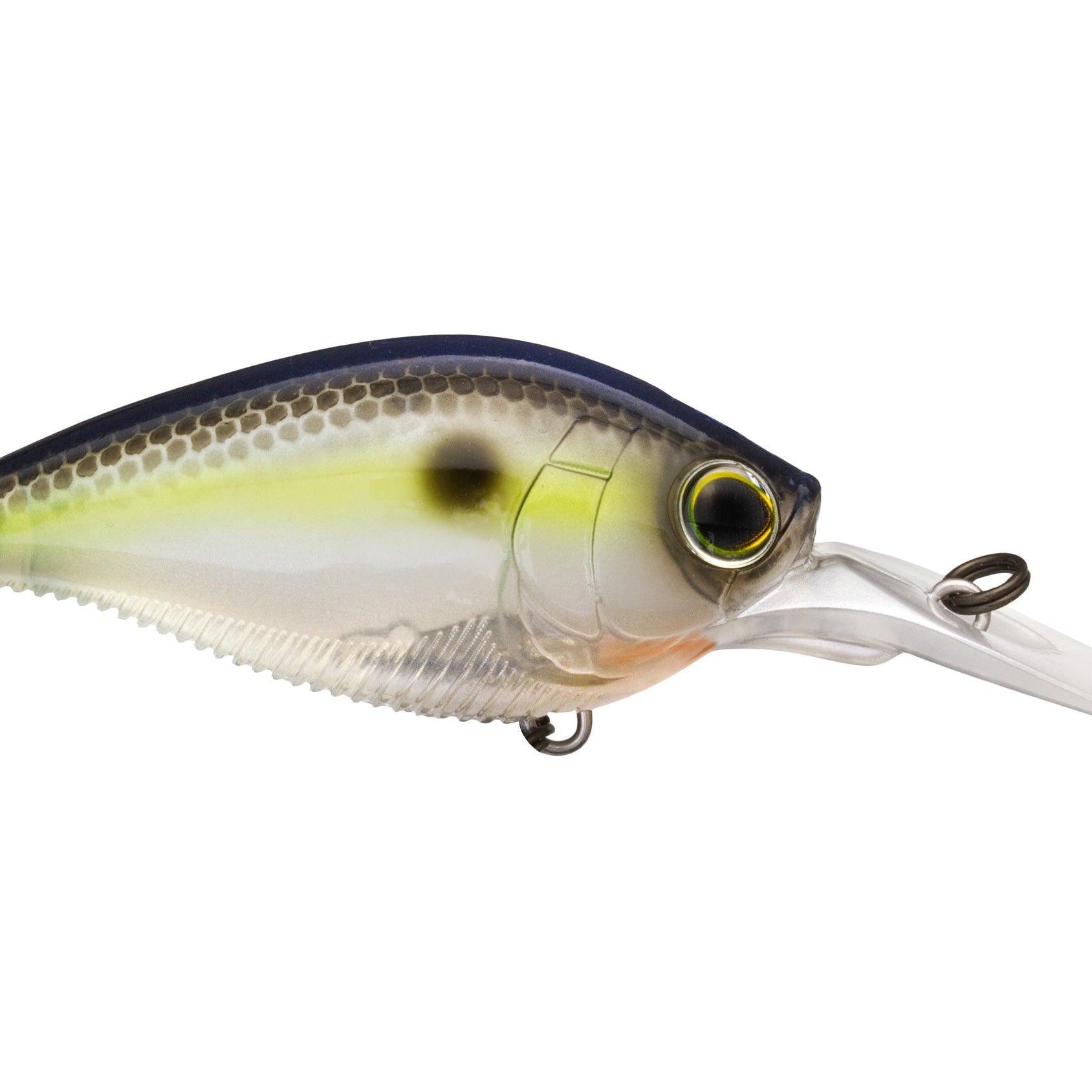 Yo-Zuri 3DB Series 1.5 Mid Range Crankbait Sexy Shad