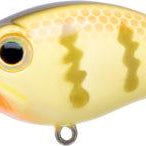 Bill Lewis ATV 1.0 Squarebill Crankbaits School Bus (D)