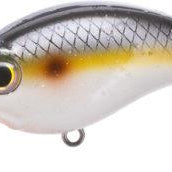 Bill Lewis ATV 1.0 Squarebill Crankbaits Sneaky Shad
