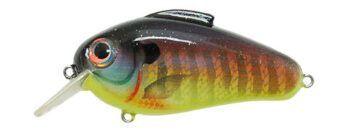Bill Lewis Echo 1.75 Squarebill Crankbait