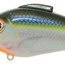 Bill Lewis Echo 1.75 Squarebill Crankbait Blue Shiner