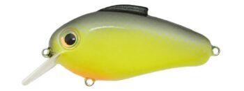Bill Lewis Echo 1.75 Squarebill Crankbait