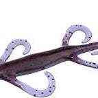 Zoom 8" Magnum Lizard Purple Pumpkin 432**