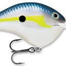 Rapala DT-20 Helsinki Shad