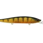 Berkley Stunna 112+1 Jerkbait Perch(D)