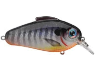 Bill Lewis Echo 1.75 Squarebill Crankbait