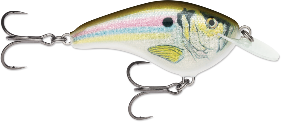 Rapala Ott’s Garage Slim 06 Crankbait Live River Shad (D)