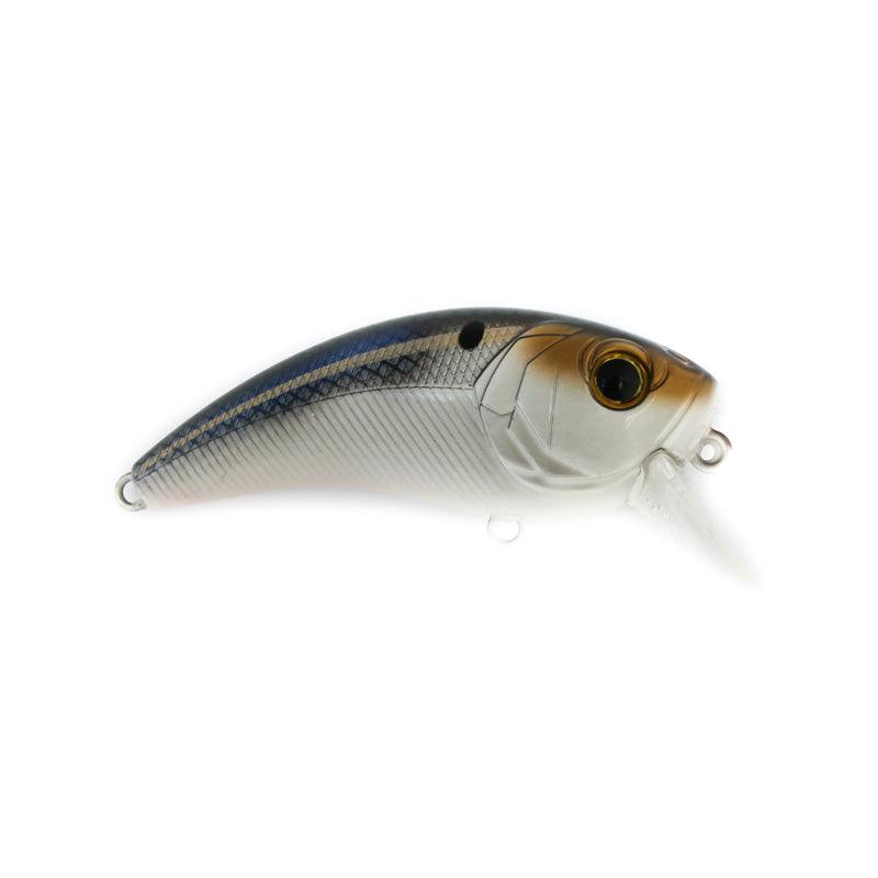 6th Sense Movement 80x