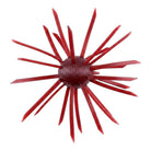 Geecrack Magnum Cue Bomb Urchin Bait Scuppernong