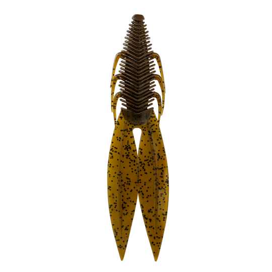 6th Sense Bodega Green Pumpkin